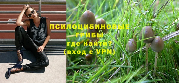 героин Алзамай
