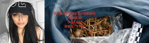 PSILOCYBIN Алексеевка