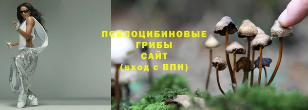 PSILOCYBIN Алексеевка