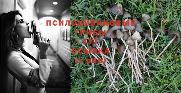 PSILOCYBIN Алексеевка