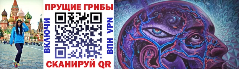 Галлюциногенные грибы Psilocybine cubensis  Далматово 